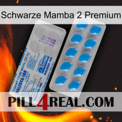 Black Mamba 2 Premium new15